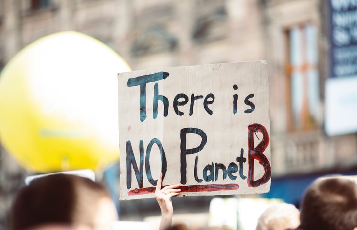image of person holding a sign for climate change