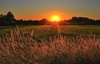 Sunset overlooking green field in the country