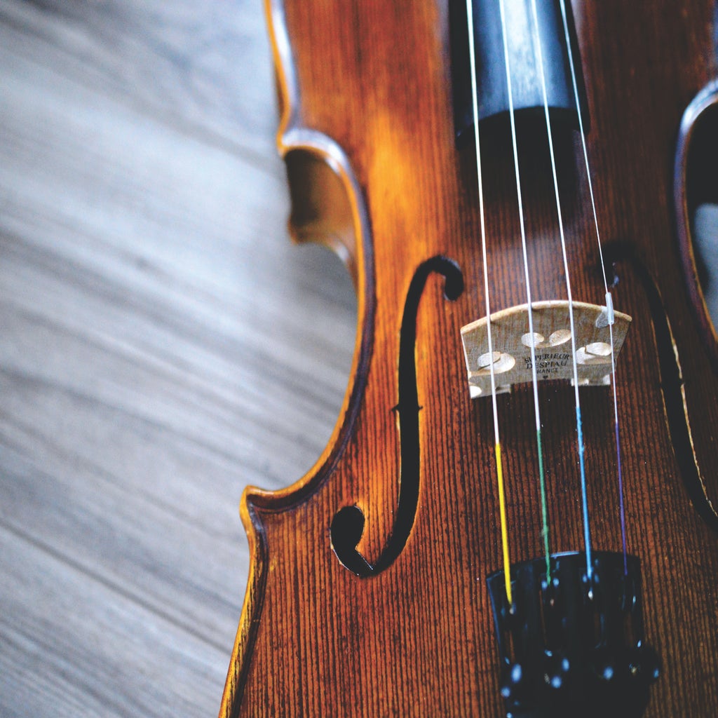 close up photo of violin
