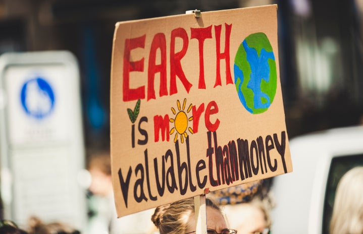 Sign at a climate change protest by Markus Spiske?width=719&height=464&fit=crop&auto=webp