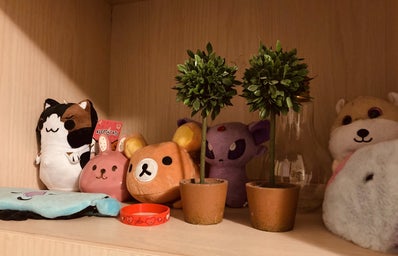 Photo from shelf of plushies and other items in room