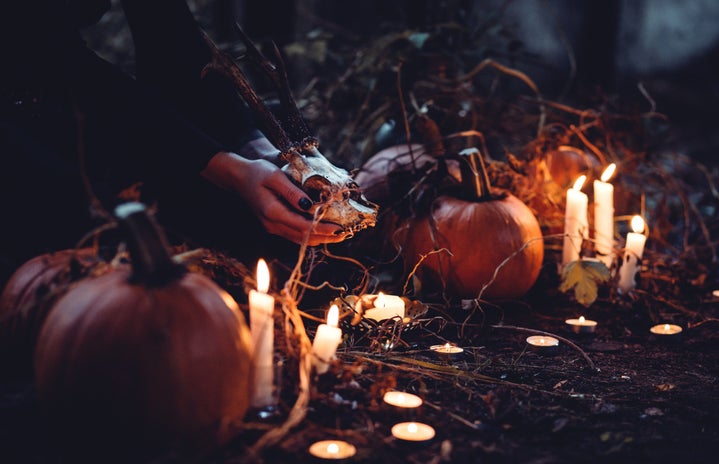 pumpkins candles and skull by freestocks?width=719&height=464&fit=crop&auto=webp