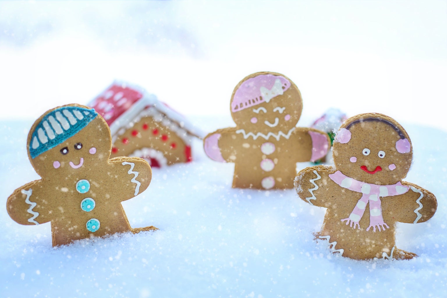 Gingerbread Cookies