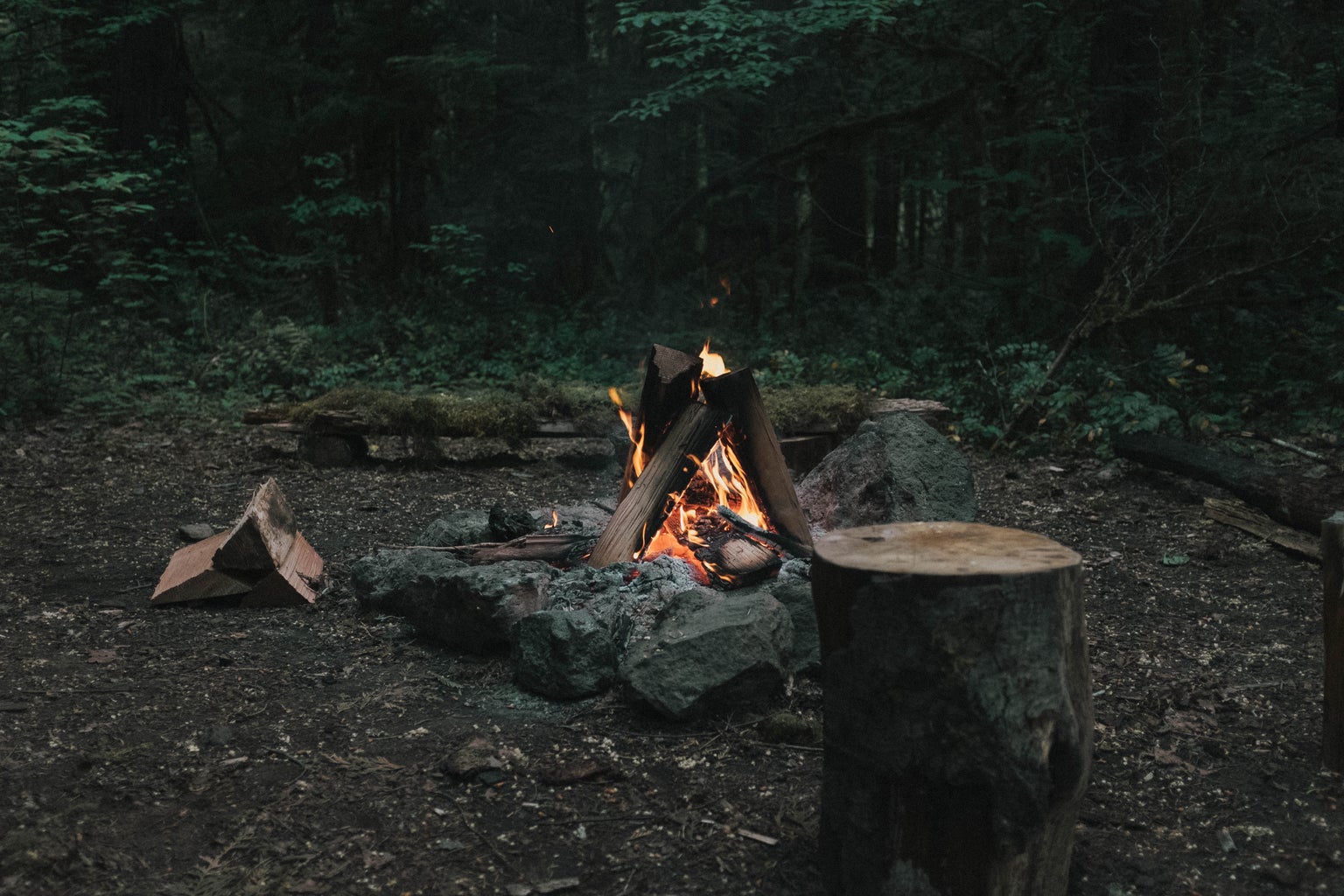 A bonfire in the middle of a mossy forest