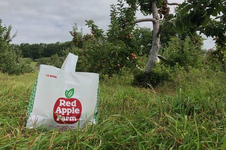 bag of apples in the orchard