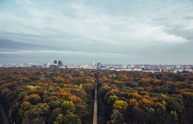 Fall forest and city view