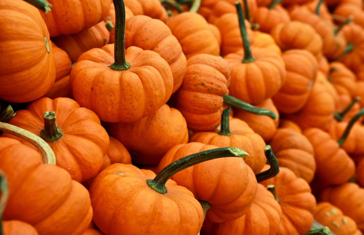 pumpkins by Gabby Orcutt?width=719&height=464&fit=crop&auto=webp