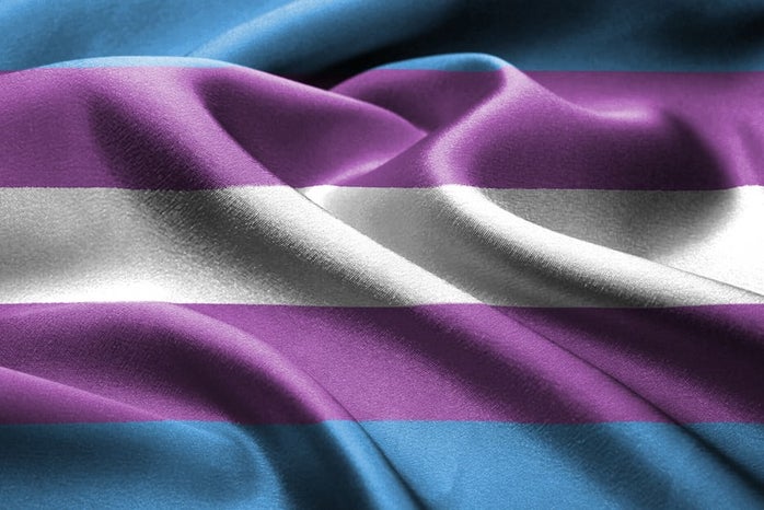 transgender flagjpg by Lena Balk?width=698&height=466&fit=crop&auto=webp