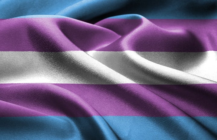transgender flagjpg by Lena Balk?width=719&height=464&fit=crop&auto=webp