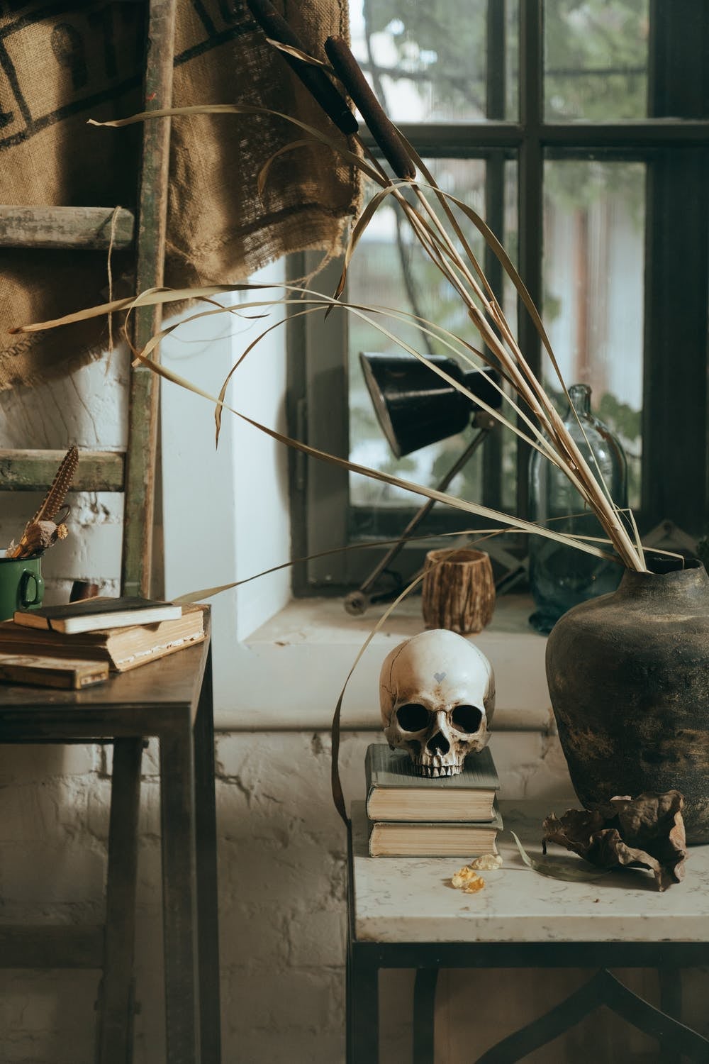 Cottage decor with some plants and a skull