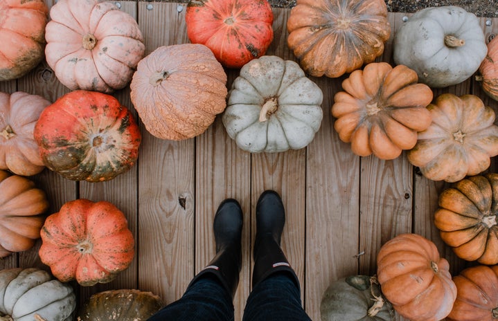 Standing around a variety of pumpkins by Briana Tozour?width=719&height=464&fit=crop&auto=webp