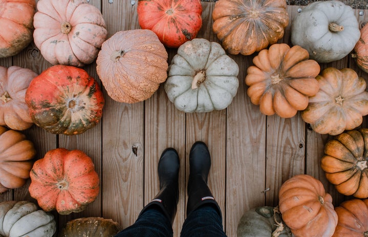 Standing around a variety of pumpkins
