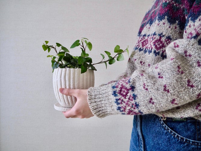 houseplant