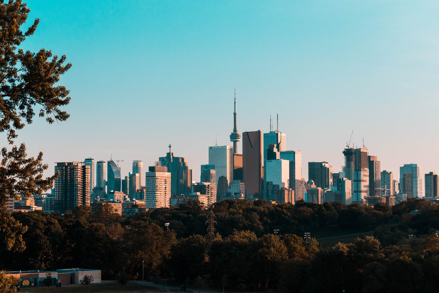 The Toronto skyline during the day