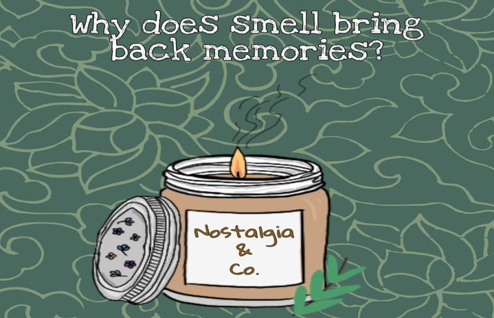 ashita kumar why does smell bring back memories png by Ashita Kumar?width=719&height=464&fit=crop&auto=webp