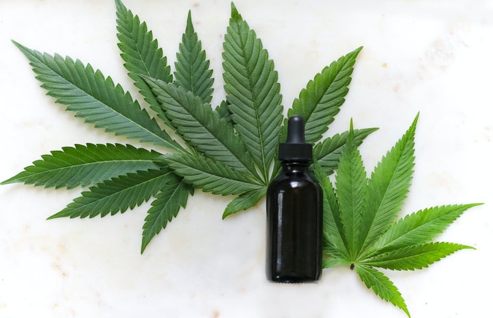 Essential oil on top of cannabis leaves by Kimzy Nanney?width=719&height=464&fit=crop&auto=webp
