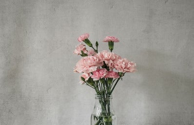 pink carnations in a clear glass bottle
