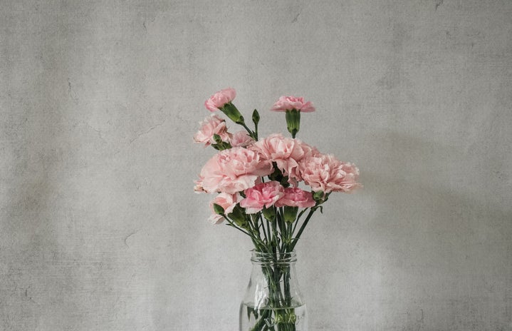 pink carnations in a clear glass bottle by Debby Hudson?width=719&height=464&fit=crop&auto=webp