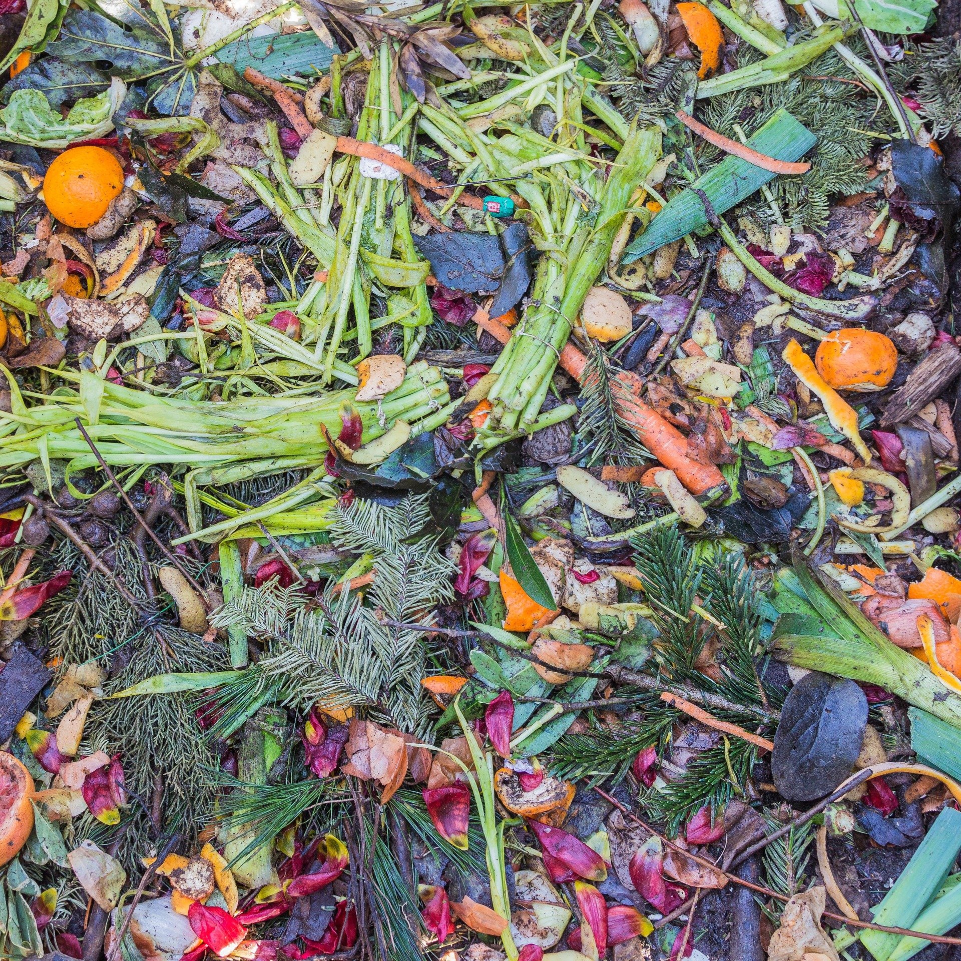 Indigenous Foods You can Make at Home
