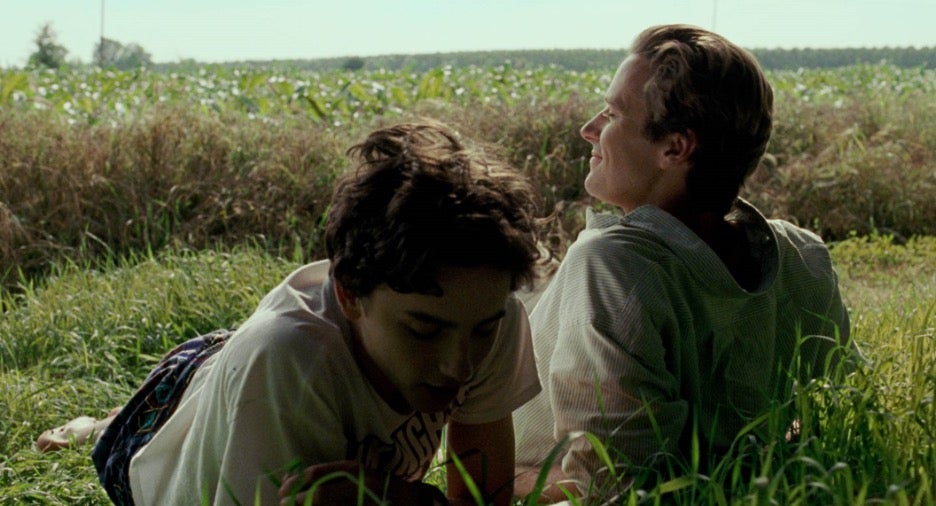 Two characters Elio and Oliver, siting beside each other in a field.