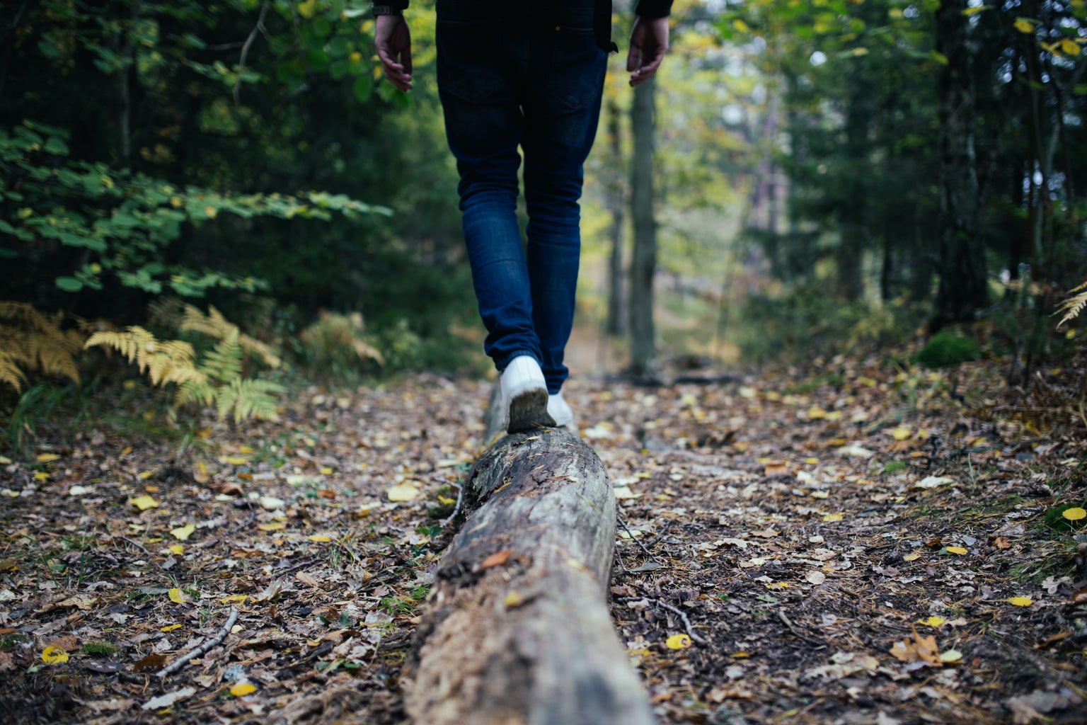 person walking on log in forest