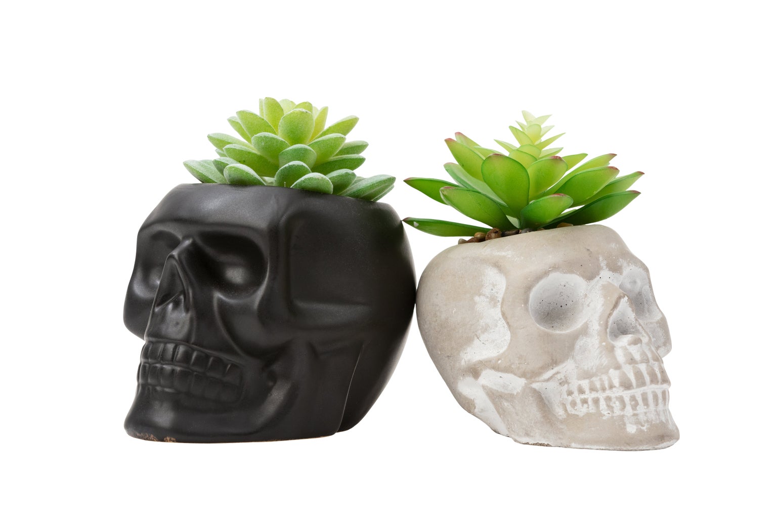 faux succulent skulls