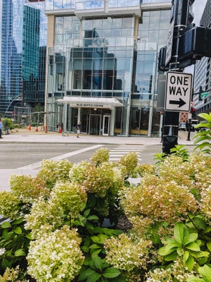 Photo of coffee shop with flowers in the foreground.