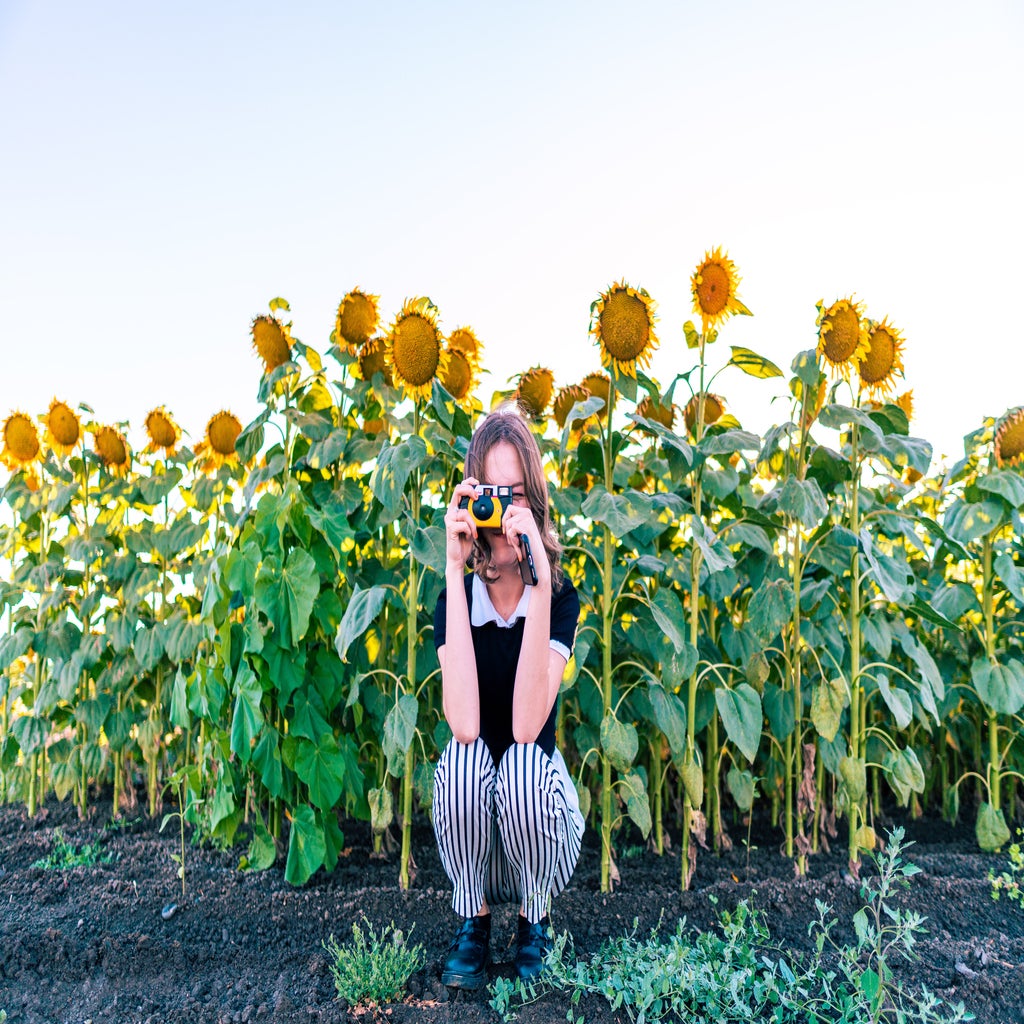 Woman in sunflower field with camera.