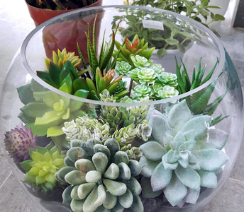 faux succulent diy valentine\'s day experience