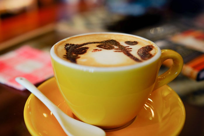 image of cat design in coffee