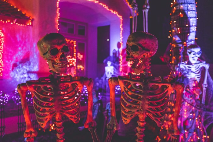 Two skeletons in front of neon lights