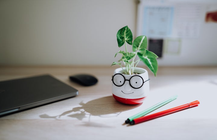 A desk with a laptop, a plant in a small pot and coloured pens.