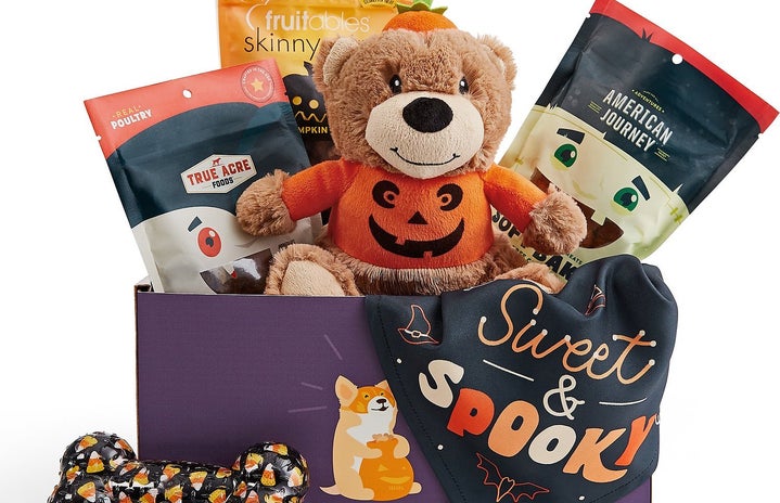 halloween goody box for dogs
