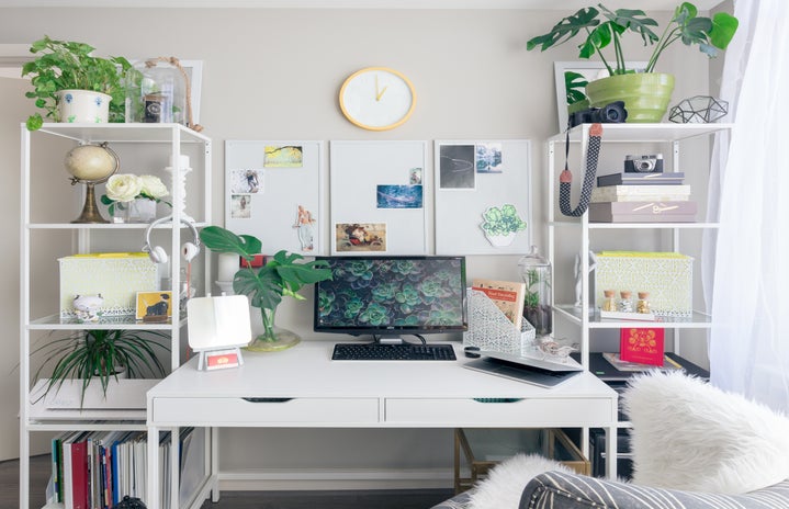 White desk with computer and vines