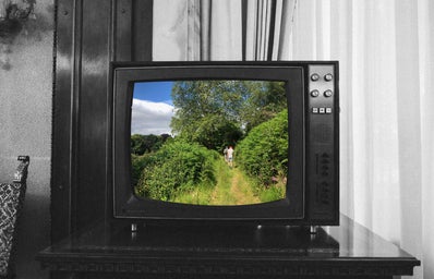 black and white tv with a nature view