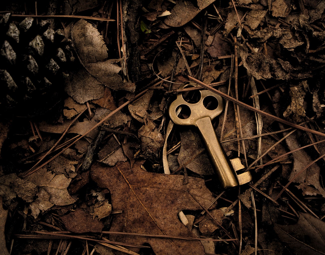 key surrounded by dry leaves