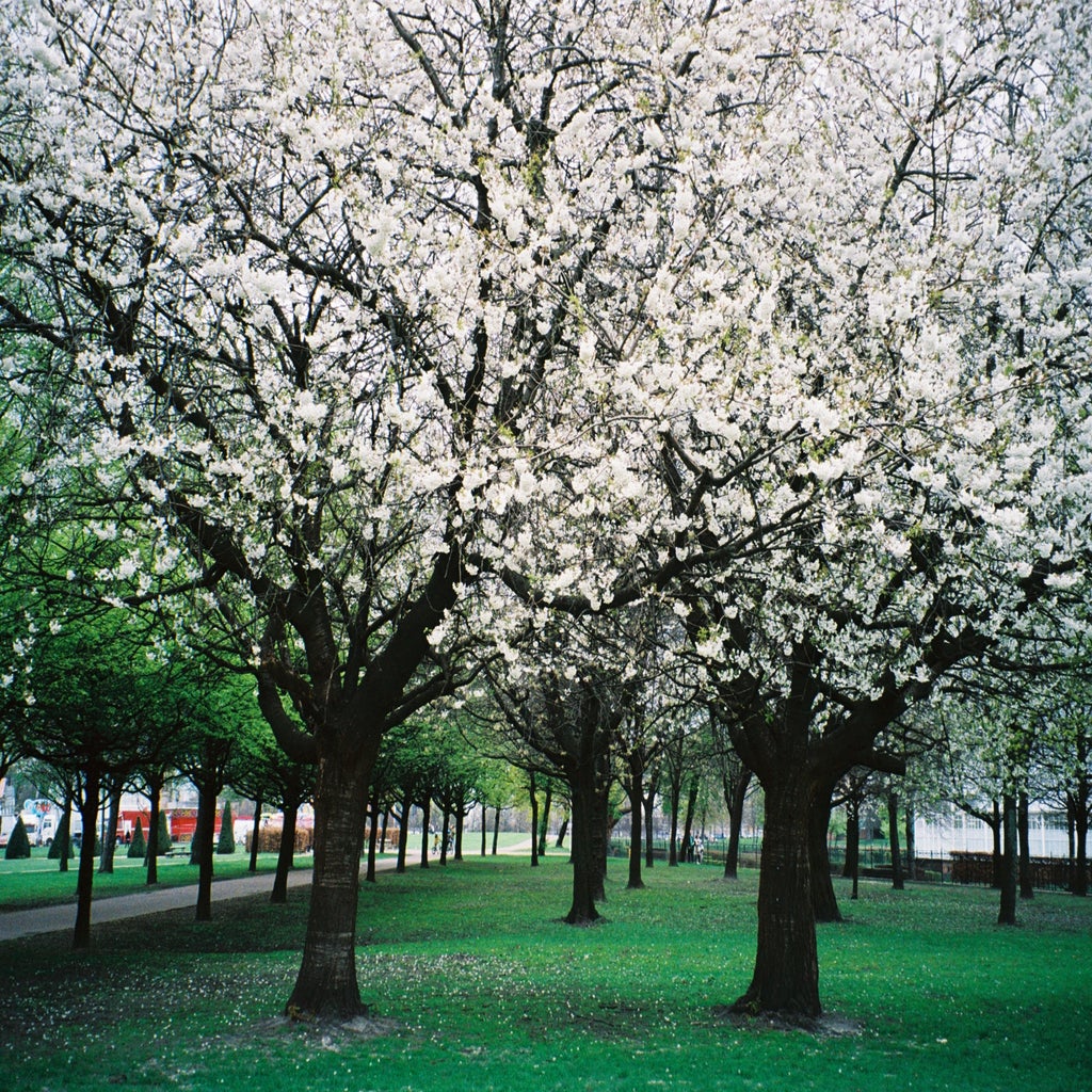 For Glasgow, With Love