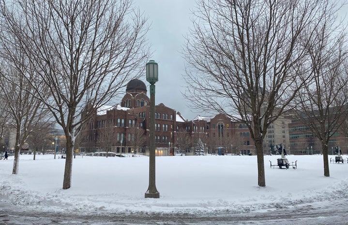 snow day at campus