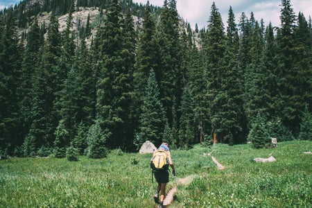 Colorado travel hiking mountains trees nature backpack trail high