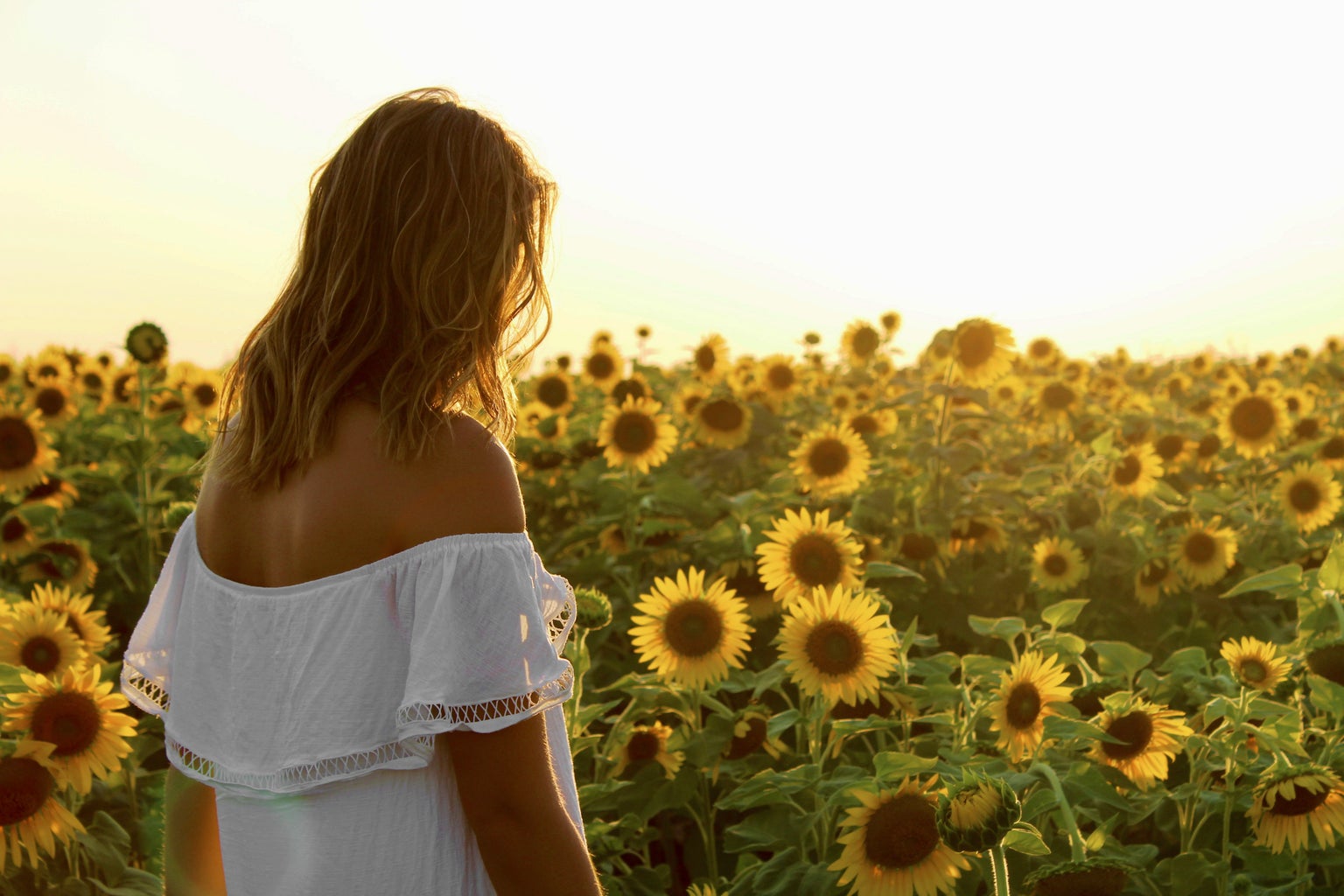sunflower field girl wavy hair off shoulder white dress summer