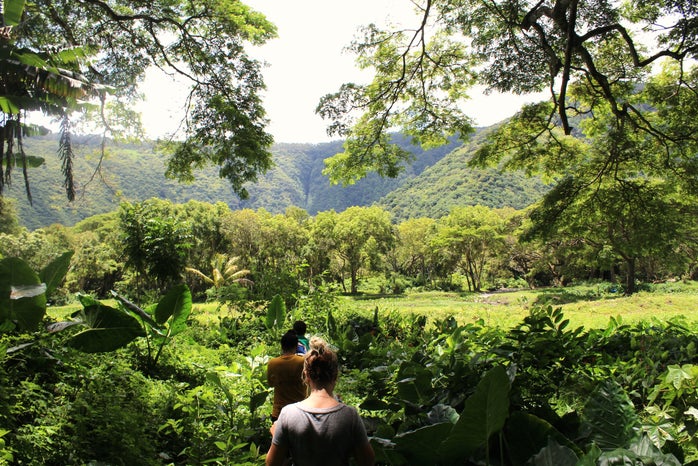 hawaii nature hikes original
