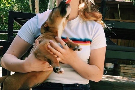 Puppy Happy Fun Girl