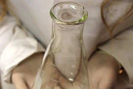 The Lalaholding Beaker