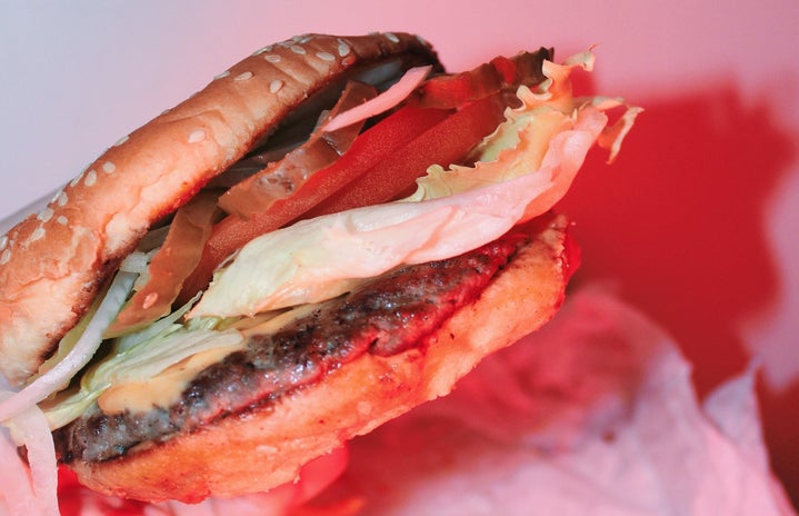 Anna Schultz delicious cheeseburger close up?width=719&height=464&fit=crop&auto=webp