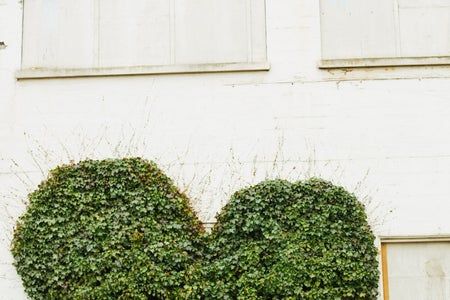 Girl In Front Of Heart Shrub