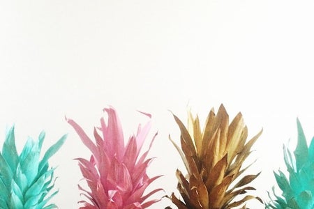 The Lalacolorful Pineapples