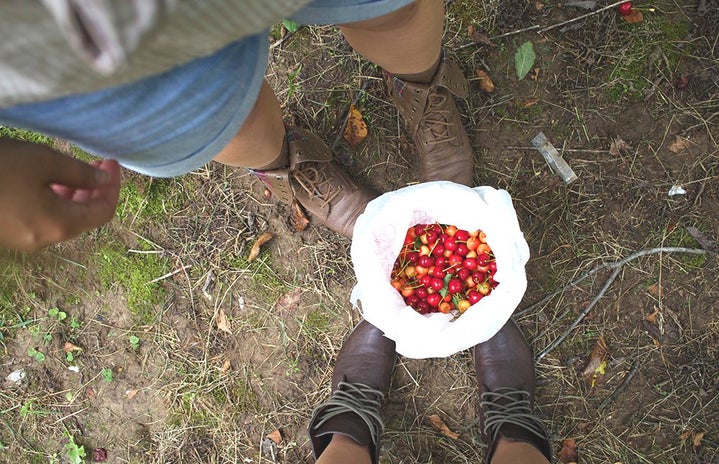 The Lalabrown Boots And A Bucket Of Cherries
