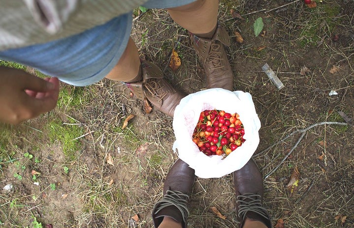 the lala brown boots and a bucket of cherries?width=719&height=464&fit=crop&auto=webp