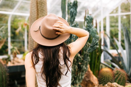 Greenhouse1