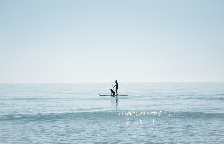 Cameron Smith-Barcelona Spain Abroad Beach Water Sea Sunny Summer Paddleboard Dog Man Relax Blue.Jpg